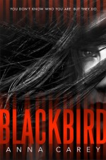 anna carey - blackbird (cover)